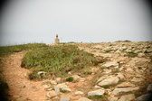 Enlarge photo 588