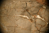 Enlarge photo 599
