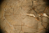 Enlarge photo 600