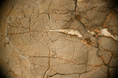 Enlarge photo 601