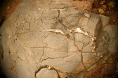 Enlarge photo 603