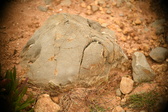 Enlarge photo 606