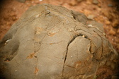 Enlarge photo 608