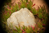 Enlarge photo 611