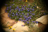 Enlarge photo 612