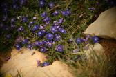 Enlarge photo 624