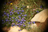 Enlarge photo 628