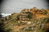 Enlarge photo 633