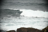 Enlarge photo 638