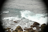 Enlarge photo 639
