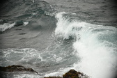 Enlarge photo 641