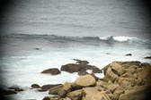 Enlarge photo 643