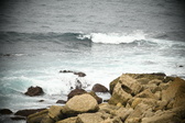Enlarge photo 646