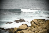 Enlarge photo 647