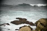Enlarge photo 650
