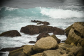 Enlarge photo 651