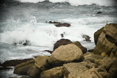 Enlarge photo 652