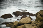 Enlarge photo 654