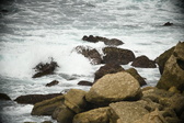 Enlarge photo 655