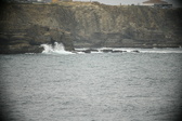 Enlarge photo 662