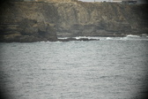 Enlarge photo 663