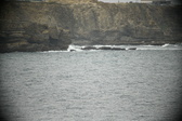 Enlarge photo 664