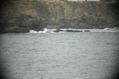 Enlarge photo 665