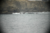 Enlarge photo 666