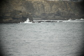 Enlarge photo 667