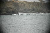 Enlarge photo 670
