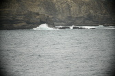 Enlarge photo 671