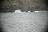 Enlarge photo 672