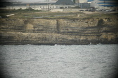 Enlarge photo 676
