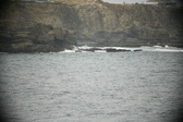 Enlarge photo 689