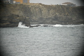 Enlarge photo 690