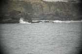 Enlarge photo 691
