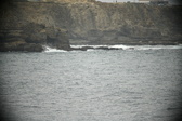 Enlarge photo 692