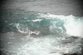 Enlarge photo 693
