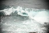 Enlarge photo 695
