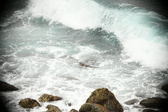 Enlarge photo 696