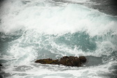Enlarge photo 699