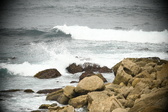 Enlarge photo 701