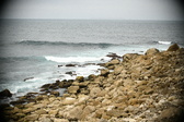 Enlarge photo 703