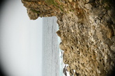 Enlarge photo 707