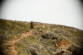 Enlarge photo 709