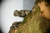 Enlarge photo 33
