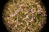 Enlarge photo 36