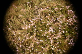 Enlarge photo 37