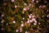 Enlarge photo 38