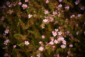 Enlarge photo 39